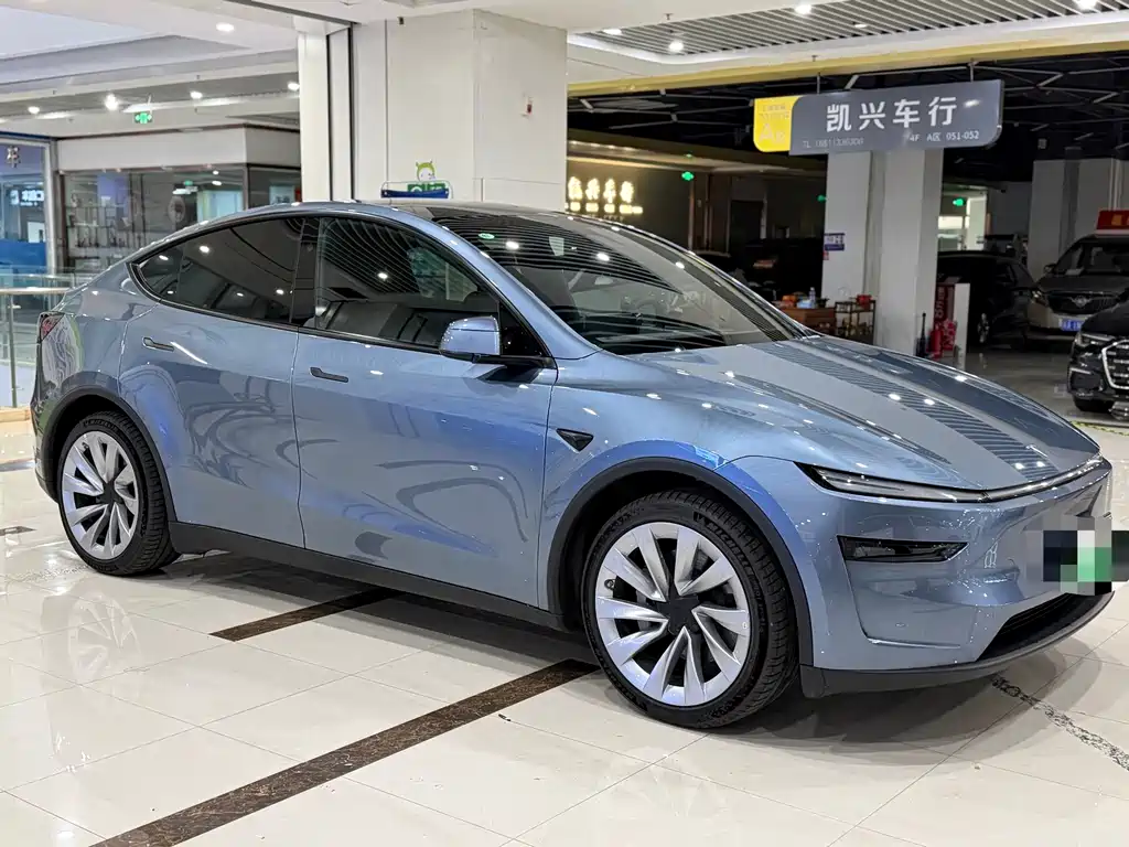 Tesla Model Y — миниатюра 3