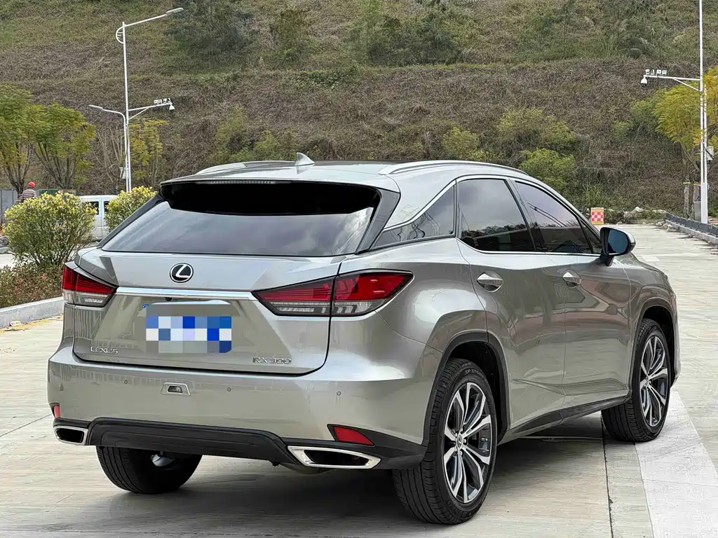 LEXUS RX