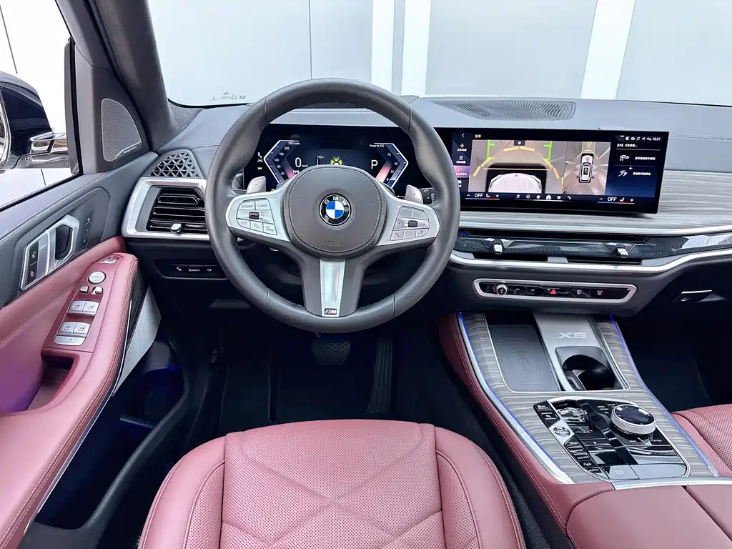 BMW X5 — миниатюра 5