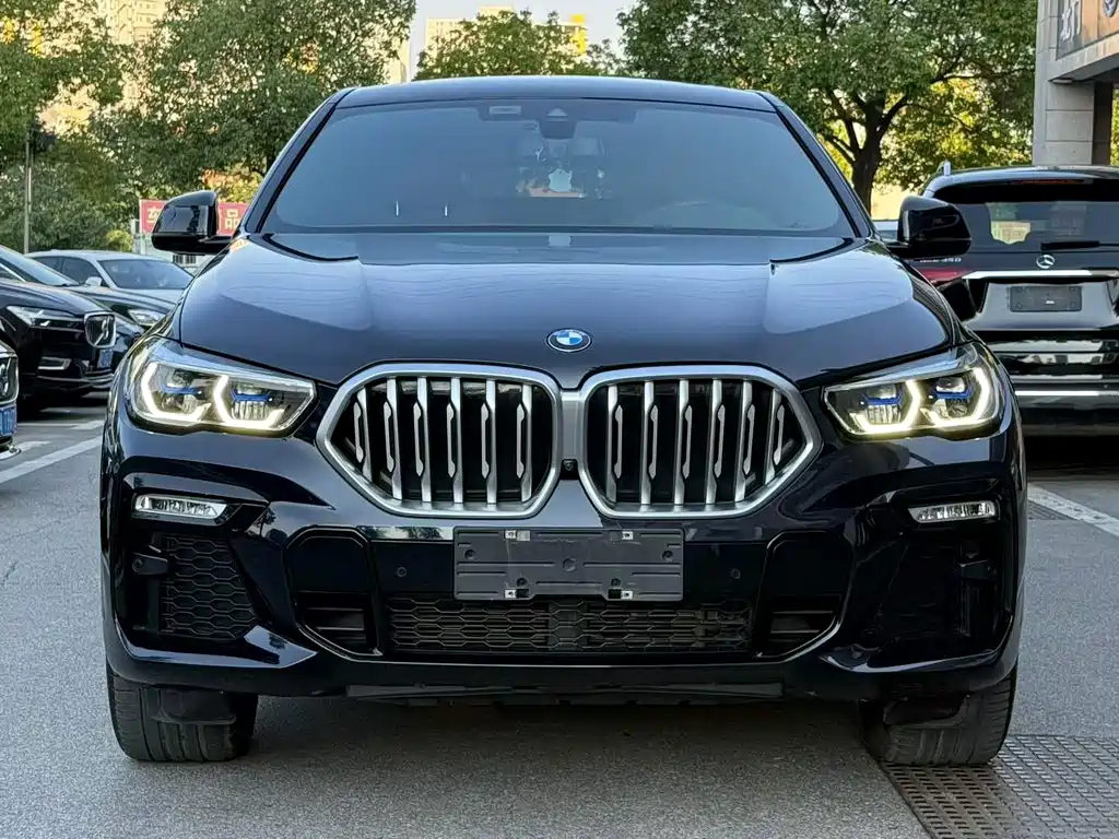 BMW X6 — миниатюра 2