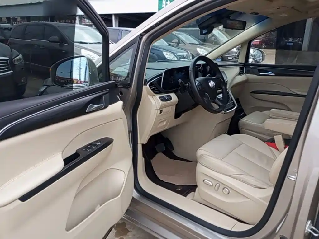 Buick GL8 — миниатюра 16