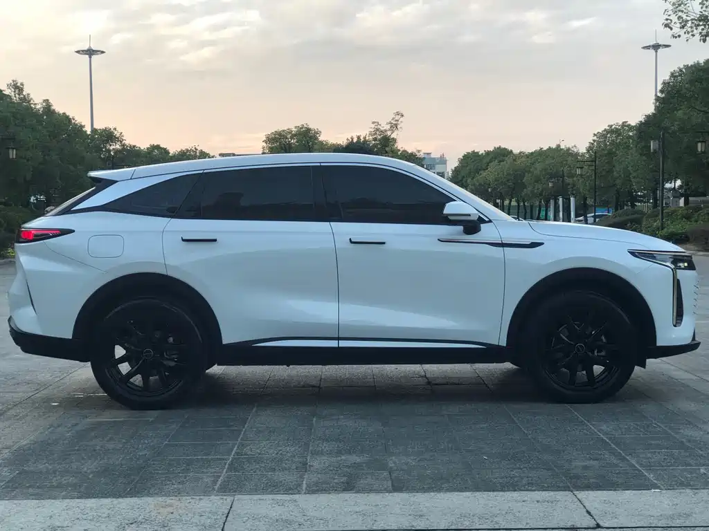 ASTRAL PATH XINGTU YAOGUANG