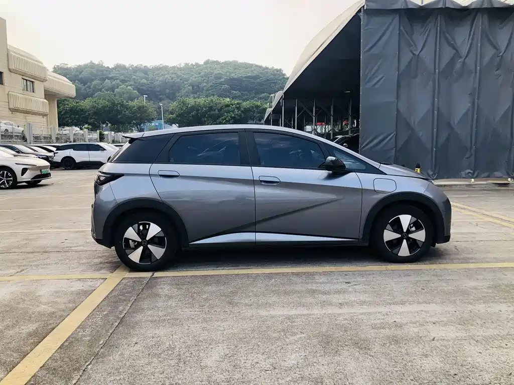 BYD Dolphin — миниатюра 6