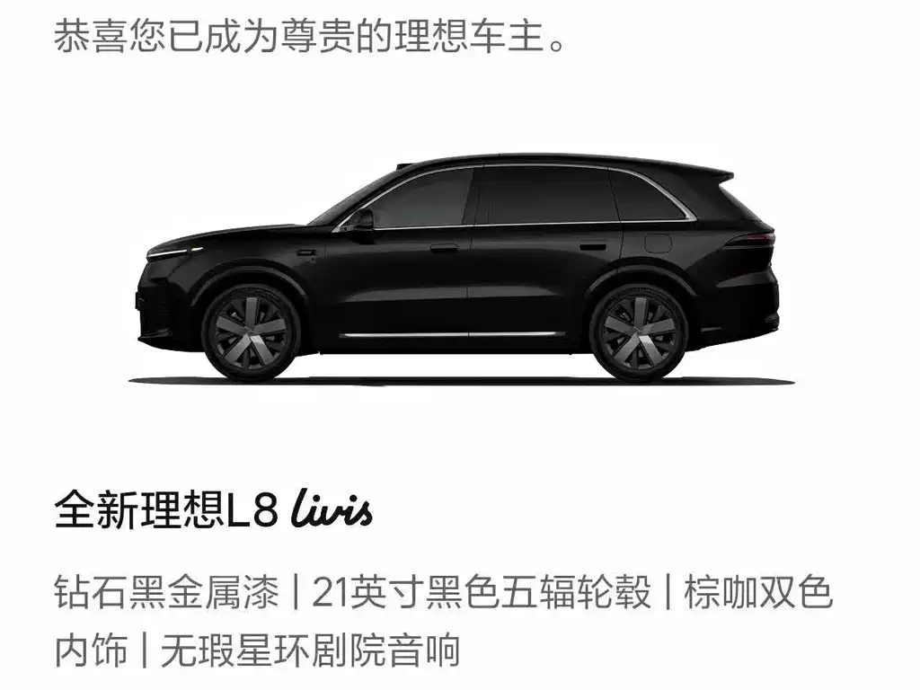 Li Auto Li L8 — миниатюра 4