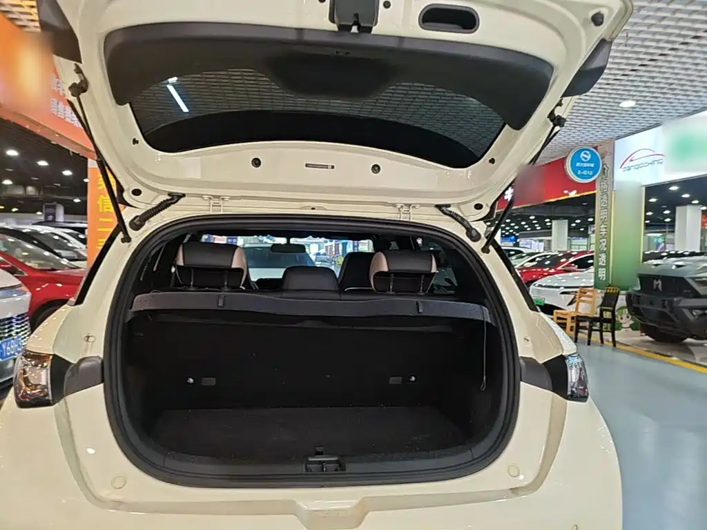 BYD Dolphin — миниатюра 19
