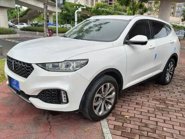 2020 Wey VV6