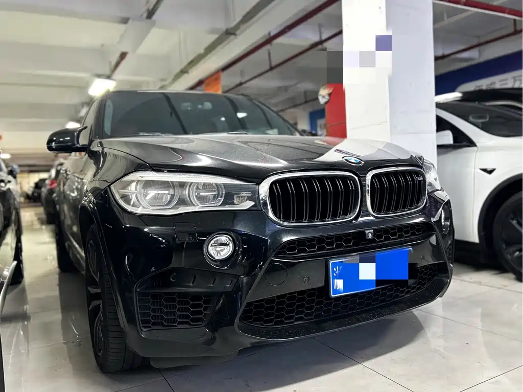 BMW X5 M — миниатюра 3