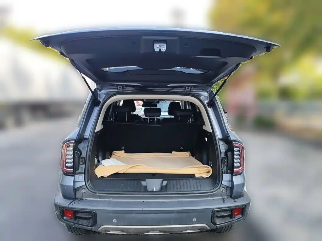 Haval Big Dog — миниатюра 15