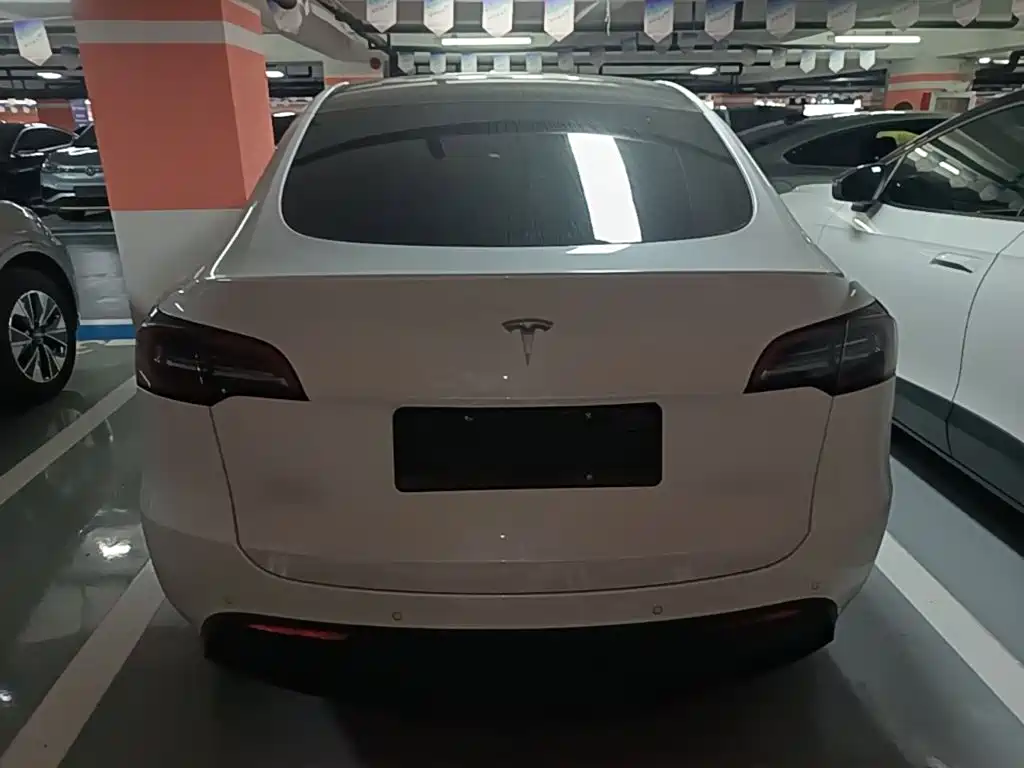 Tesla Model Y — миниатюра 6
