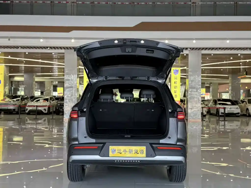 BYD Pro New Energy — миниатюра 13