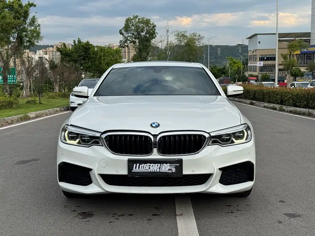 BMW 5 SERIES