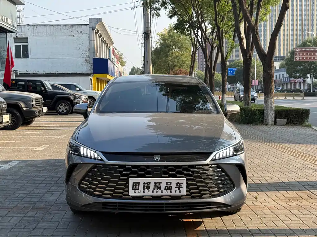 BYD Qin PLUS — миниатюра 2