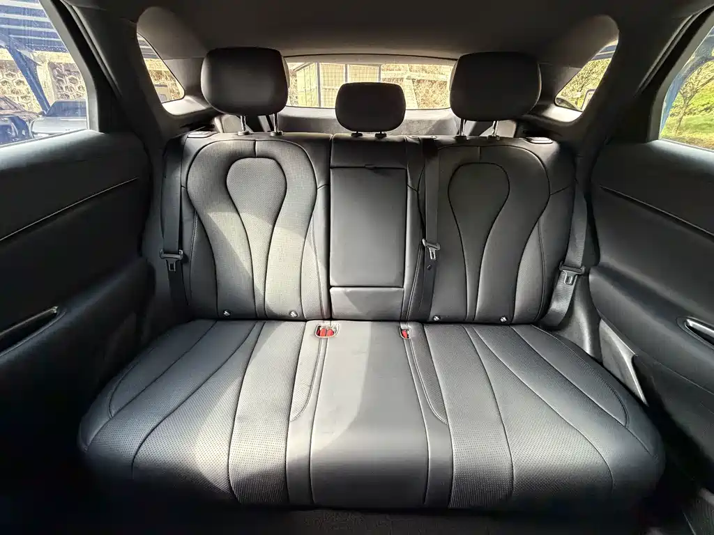 BYD Sealion 06 — миниатюра 14