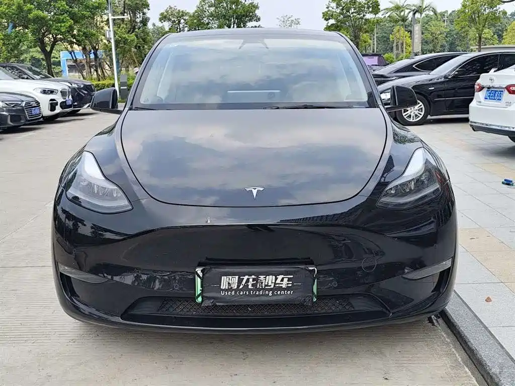 Tesla Model Y — миниатюра 2