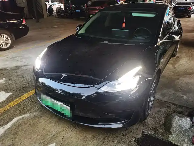 TESLA MODEL 3 2020