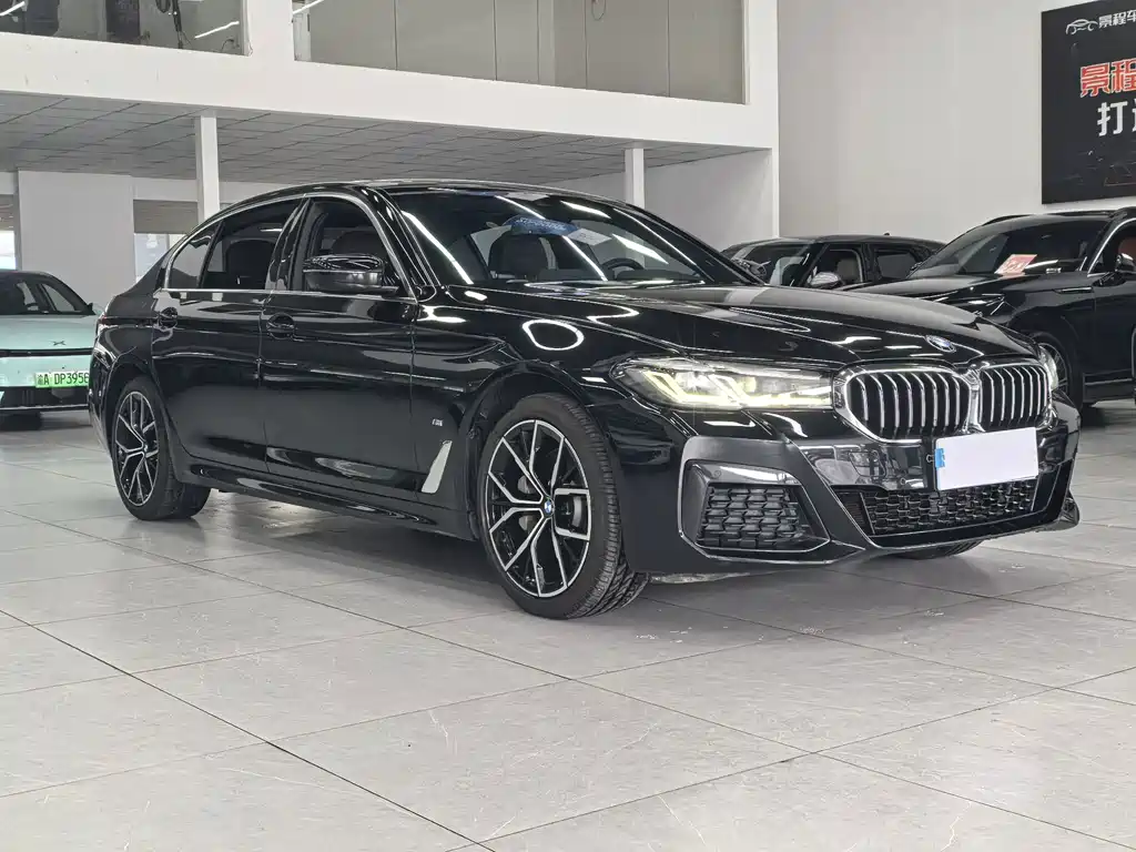 BMW 5 Series — миниатюра 3