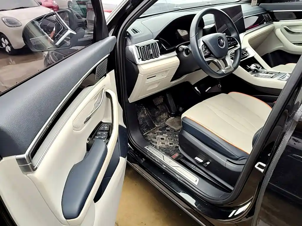 BYD PLUS New Energy — миниатюра 16