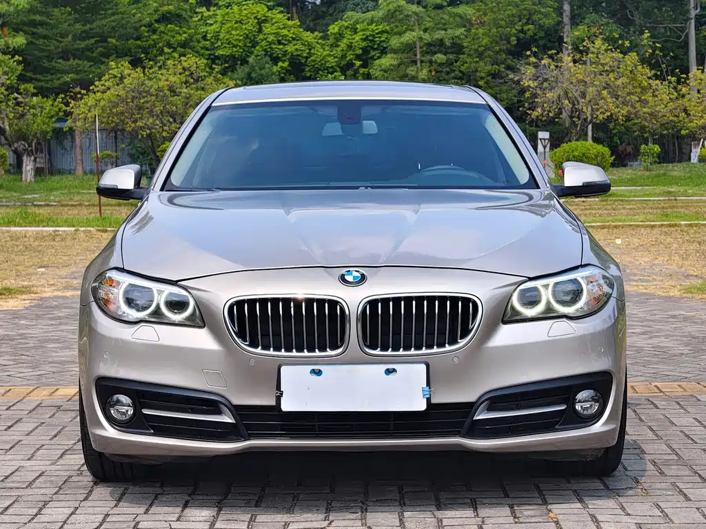 BMW 5 Series — миниатюра 2