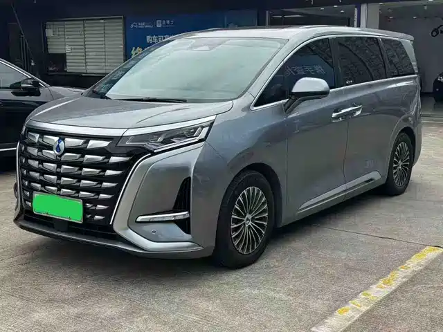 2023 Denza D9