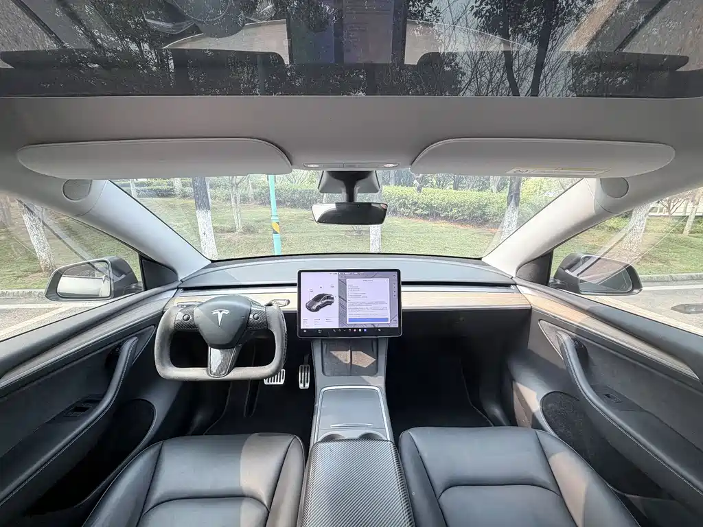 Tesla Model Y — миниатюра 12