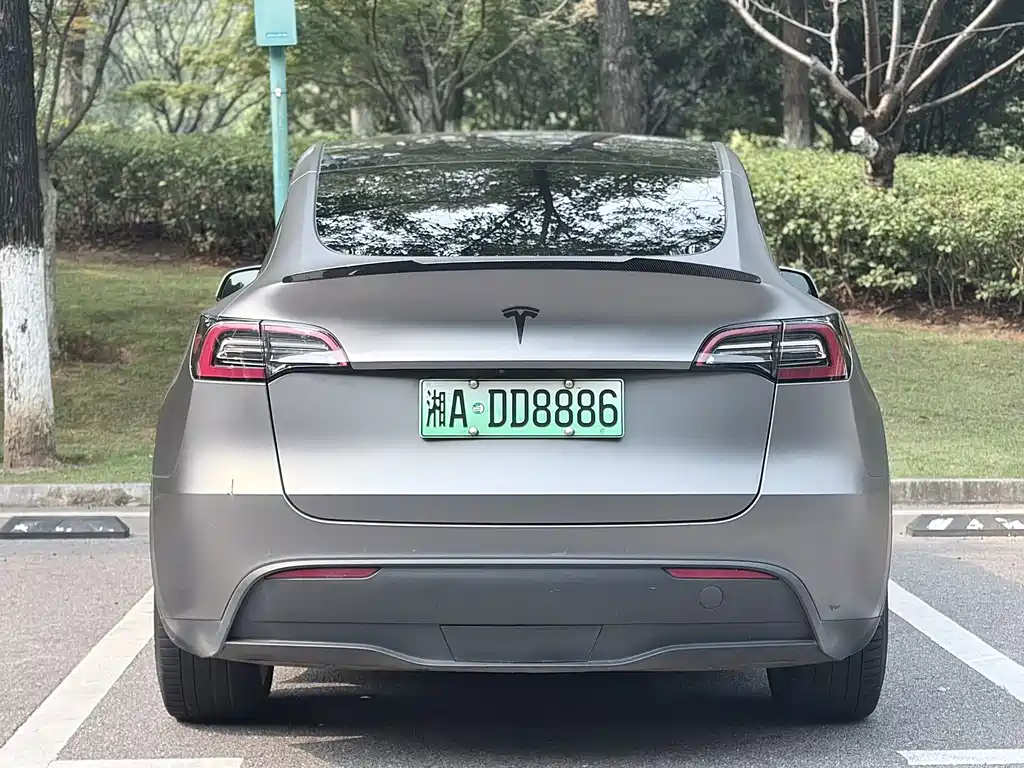 Tesla Model Y — миниатюра 5