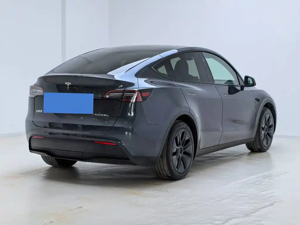 Tesla Model Y — миниатюра 9