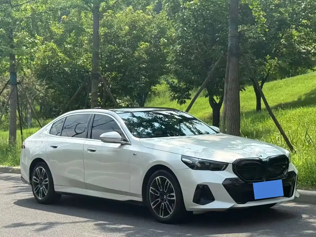 BMW 5 Series — миниатюра 3