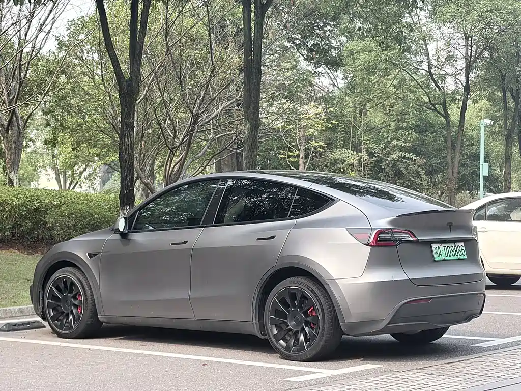 Tesla Model Y — миниатюра 6