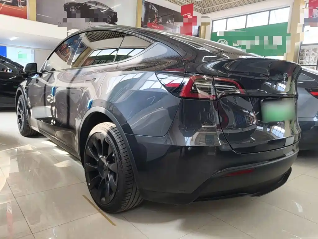 Tesla Model Y — миниатюра 5