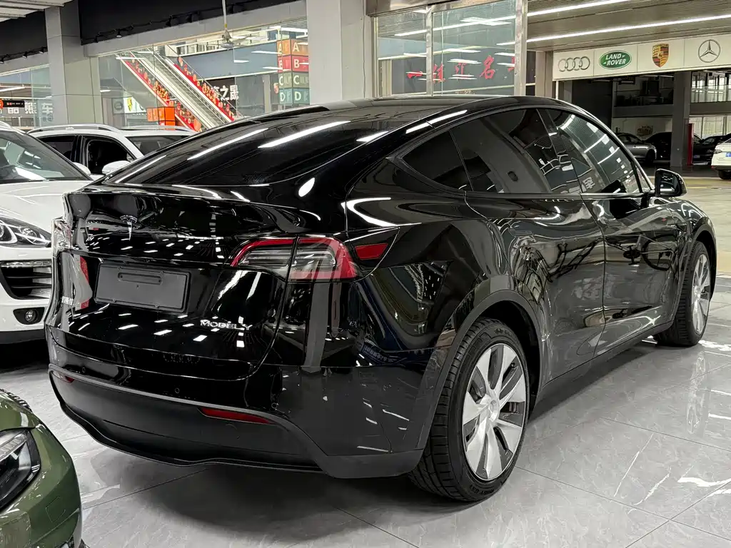 Tesla Model Y — миниатюра 16