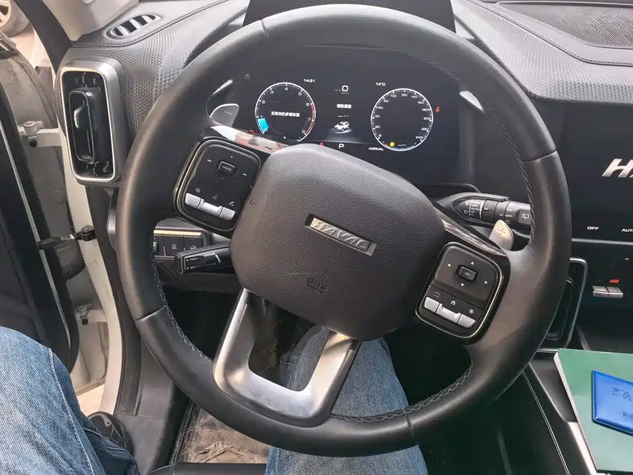 Haval Big Dog — миниатюра 15