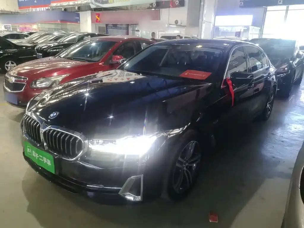 BMW 5 Series New Energy