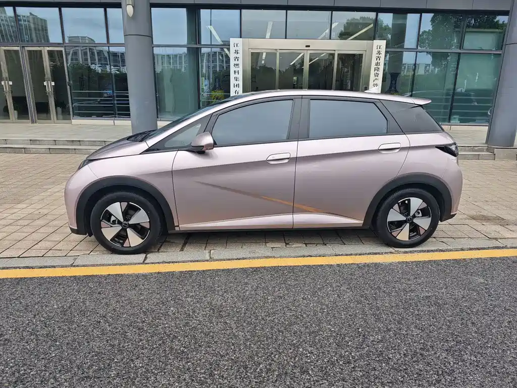 BYD Dolphin — миниатюра 2