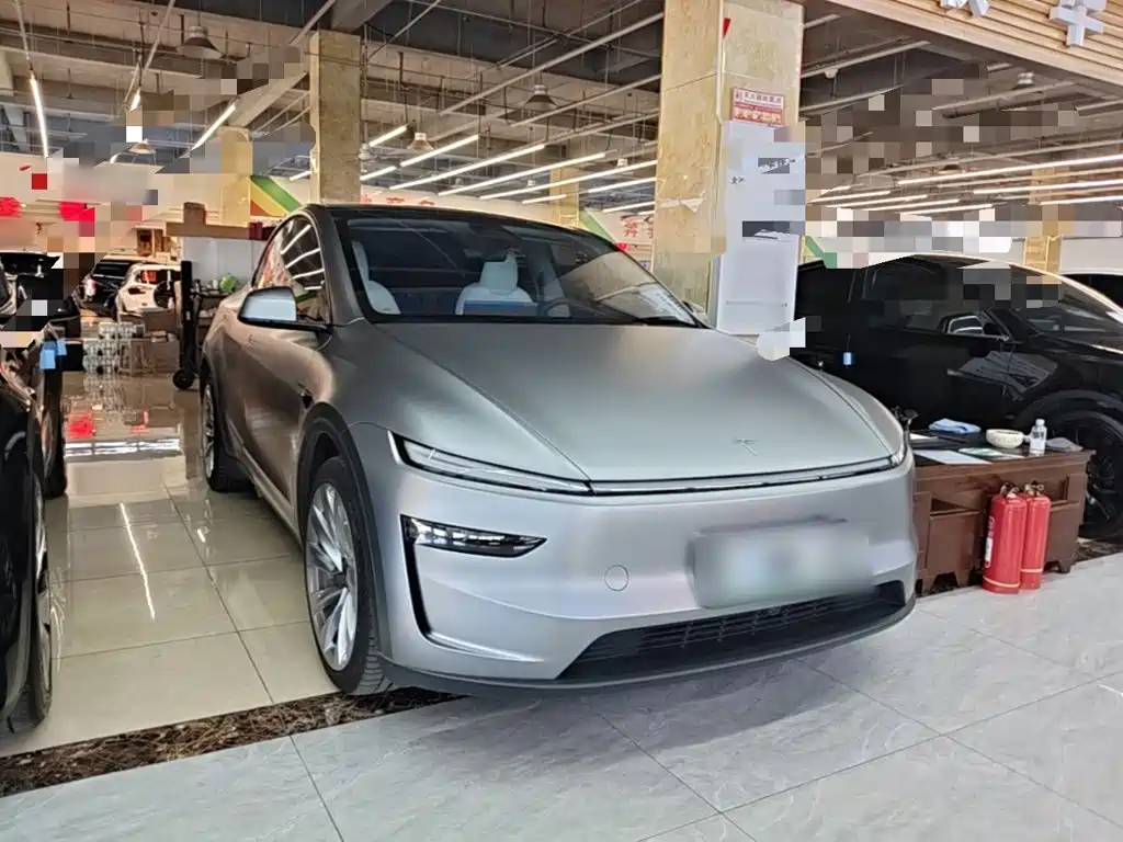 Tesla Model Y — миниатюра 4