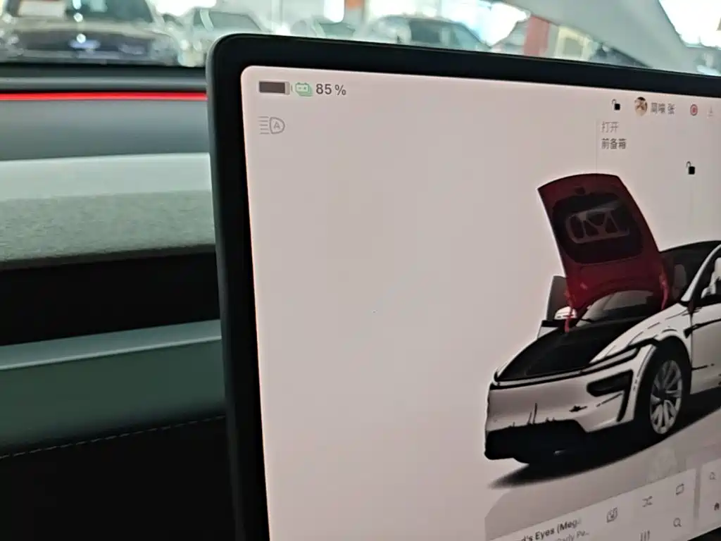 Tesla Model Y — миниатюра 14