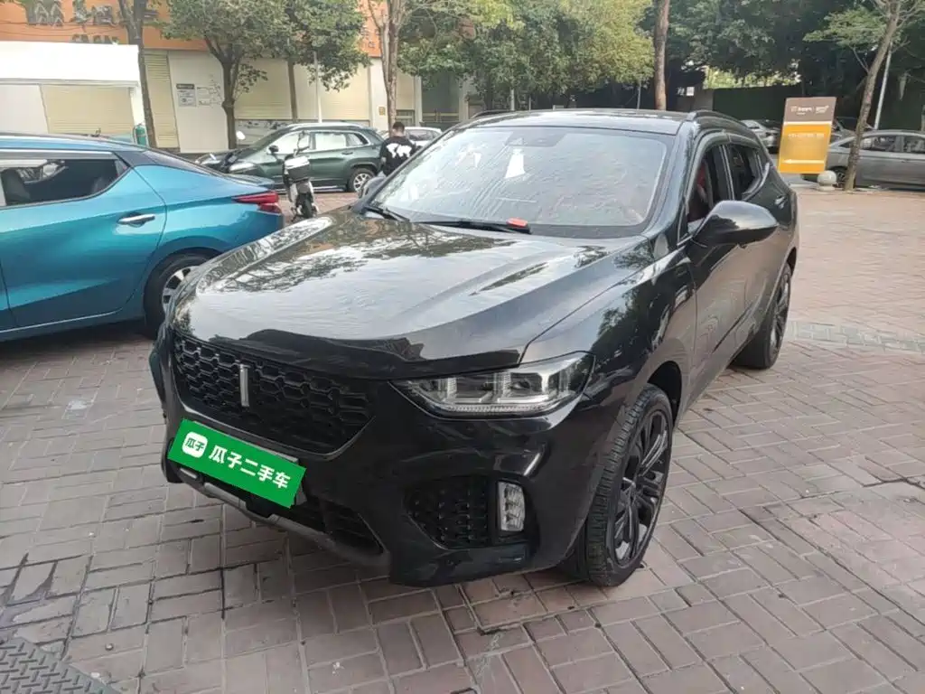Wey Wey VV5