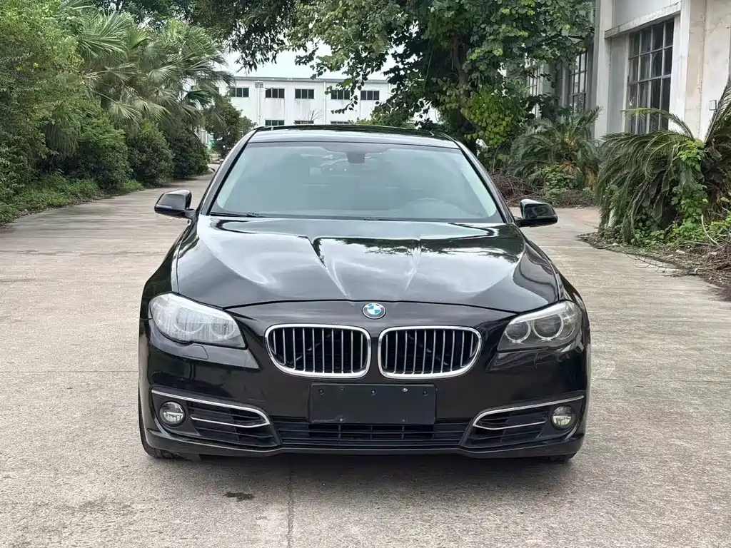 BMW 5 Series — миниатюра 2