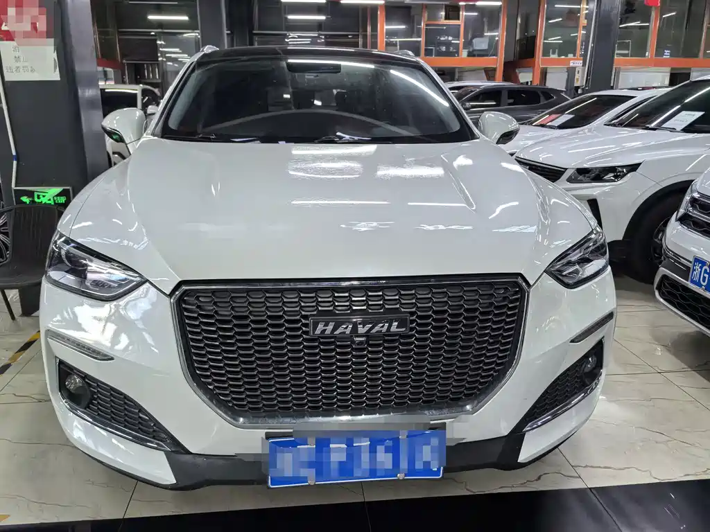 Haval F5 — миниатюра 2