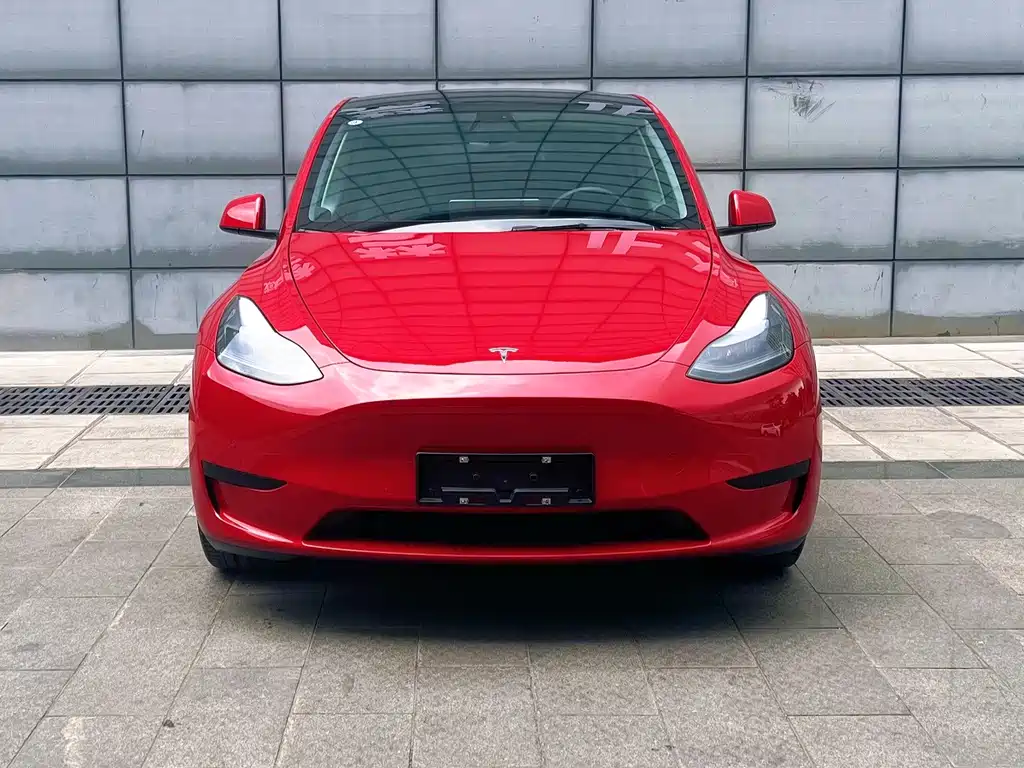 Tesla Model Y — миниатюра 4