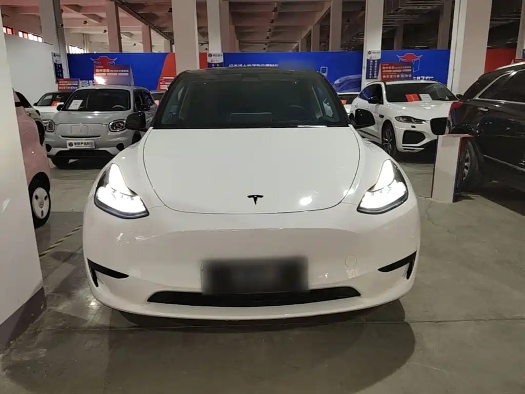 Tesla Model Y — миниатюра 3