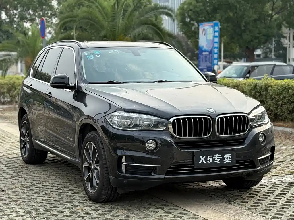 BMW X5 (Import) — миниатюра 3