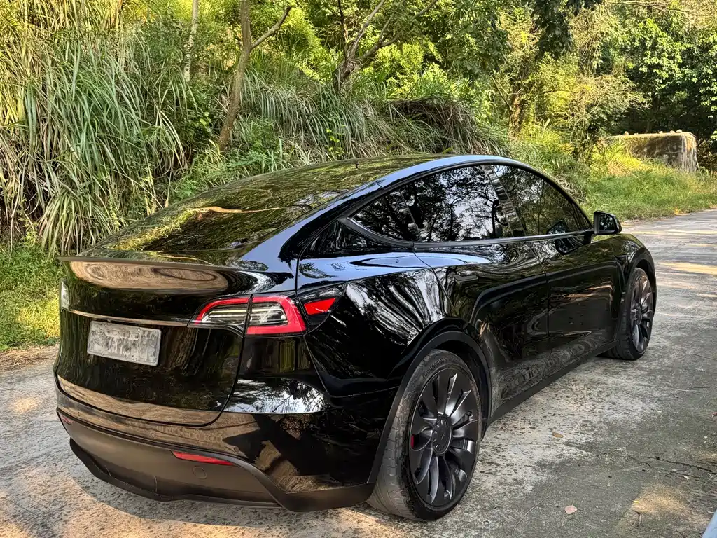 Tesla Model Y — миниатюра 5