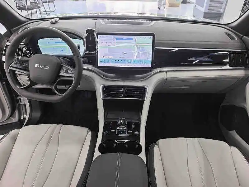 BYD PLUS New Energy — миниатюра 5
