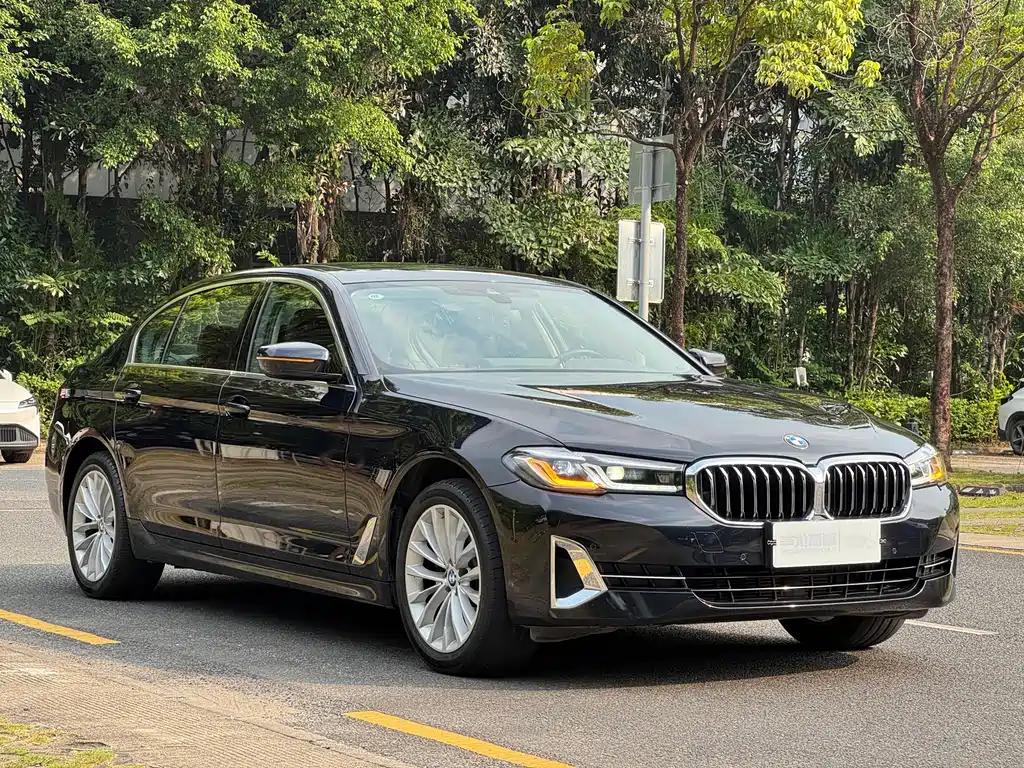 BMW 5 Series — миниатюра 3