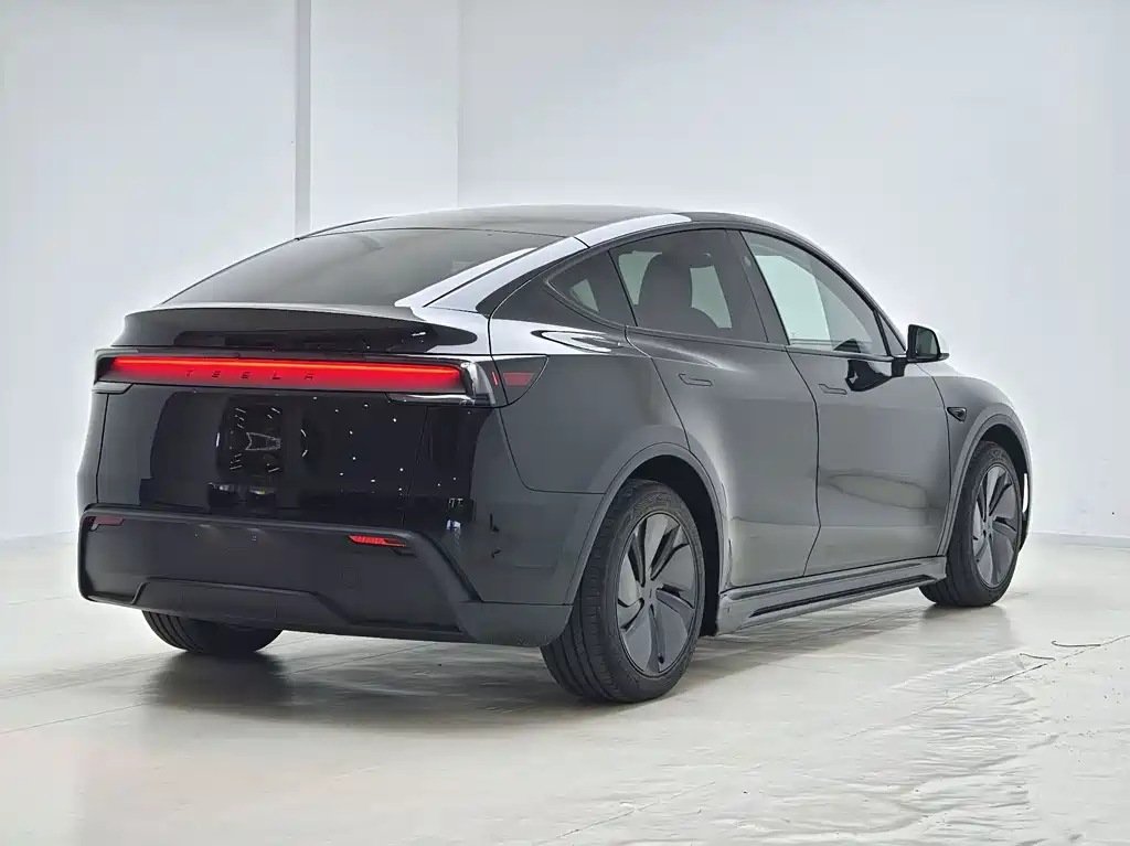 Tesla Model Y — миниатюра 8