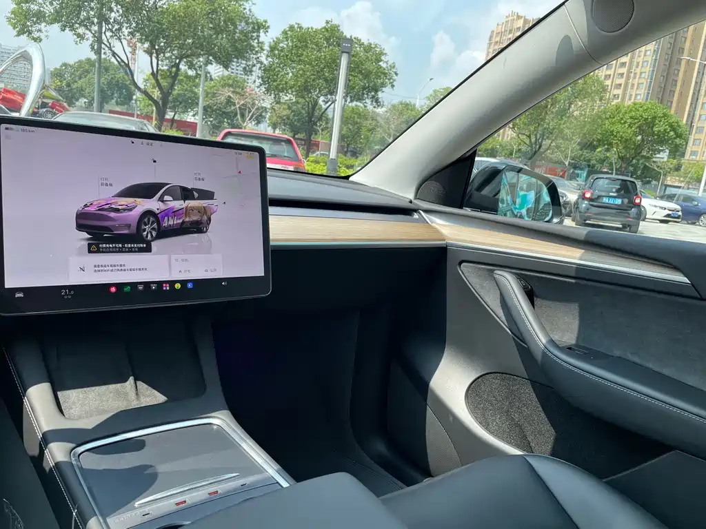 Tesla Model Y — миниатюра 20
