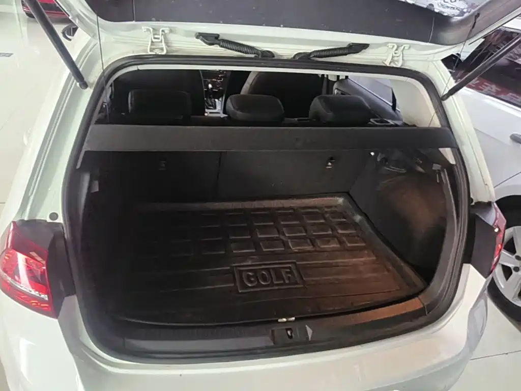 Volkswagen Golf — миниатюра 19