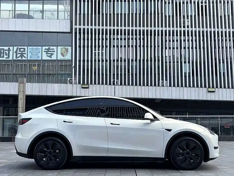 Tesla Model Y — миниатюра 4