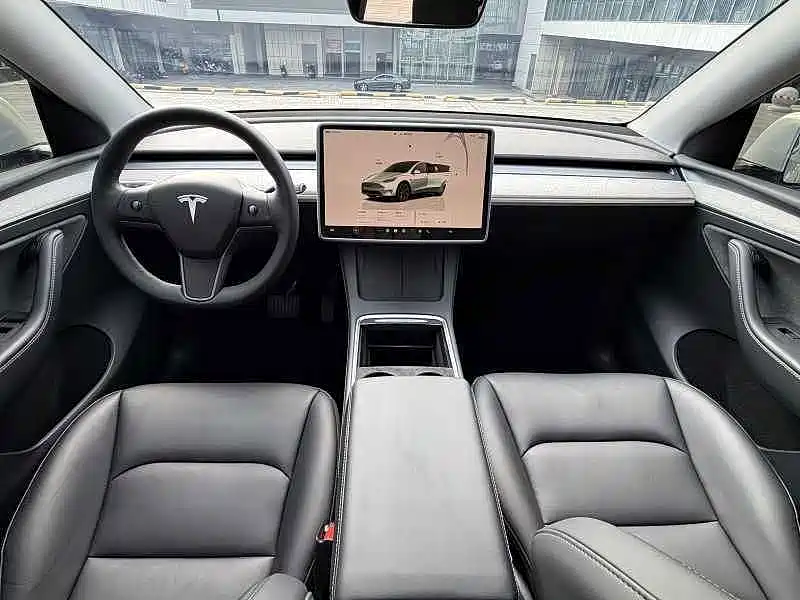 Tesla Model Y — миниатюра 6
