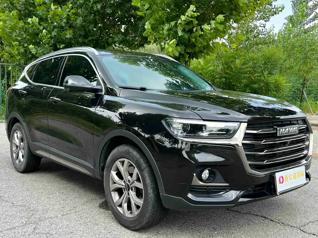Haval H6 — миниатюра 3